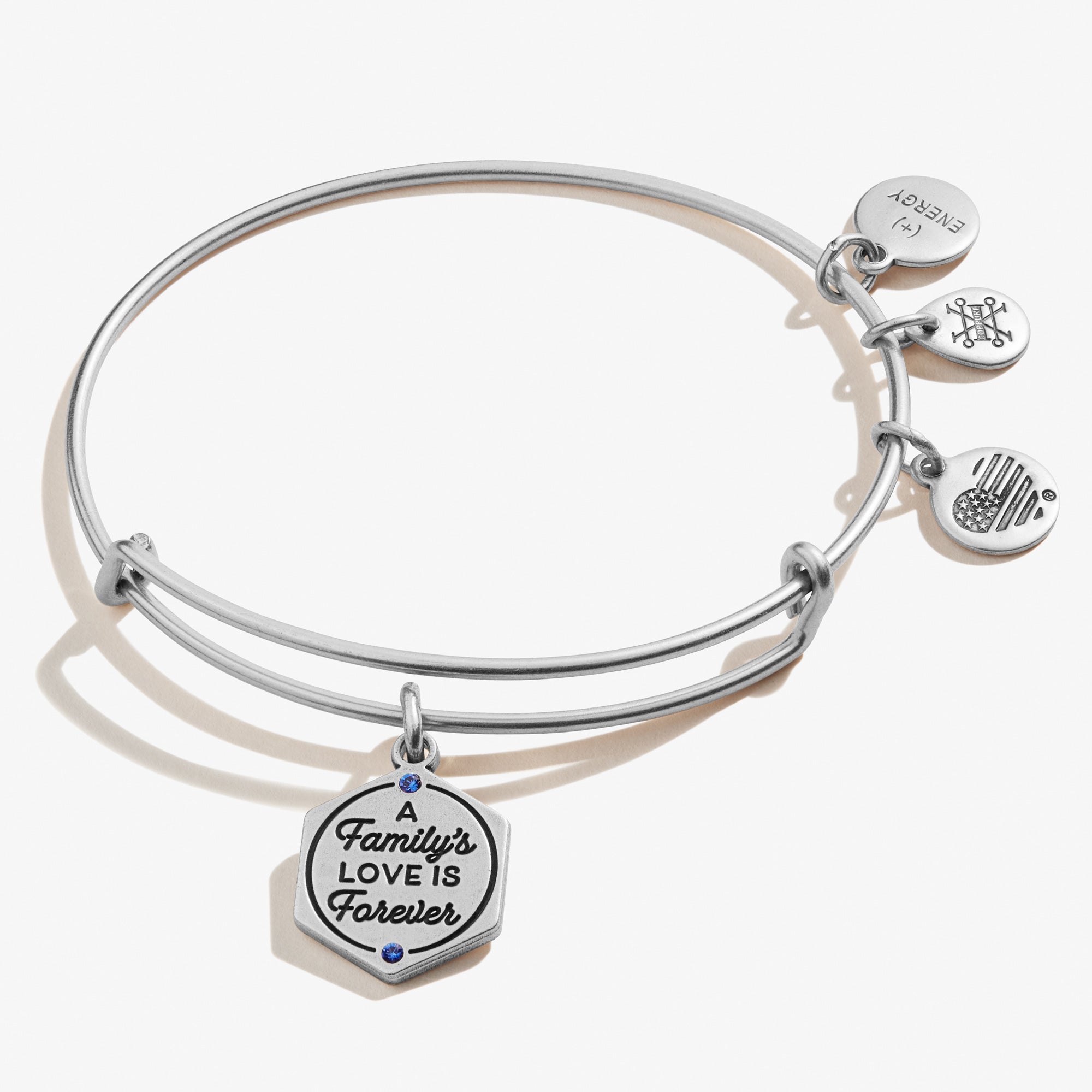 a-familys-love-is-forever-charm-bangle-bracelet-A21EBHOLFAMRS.jpg