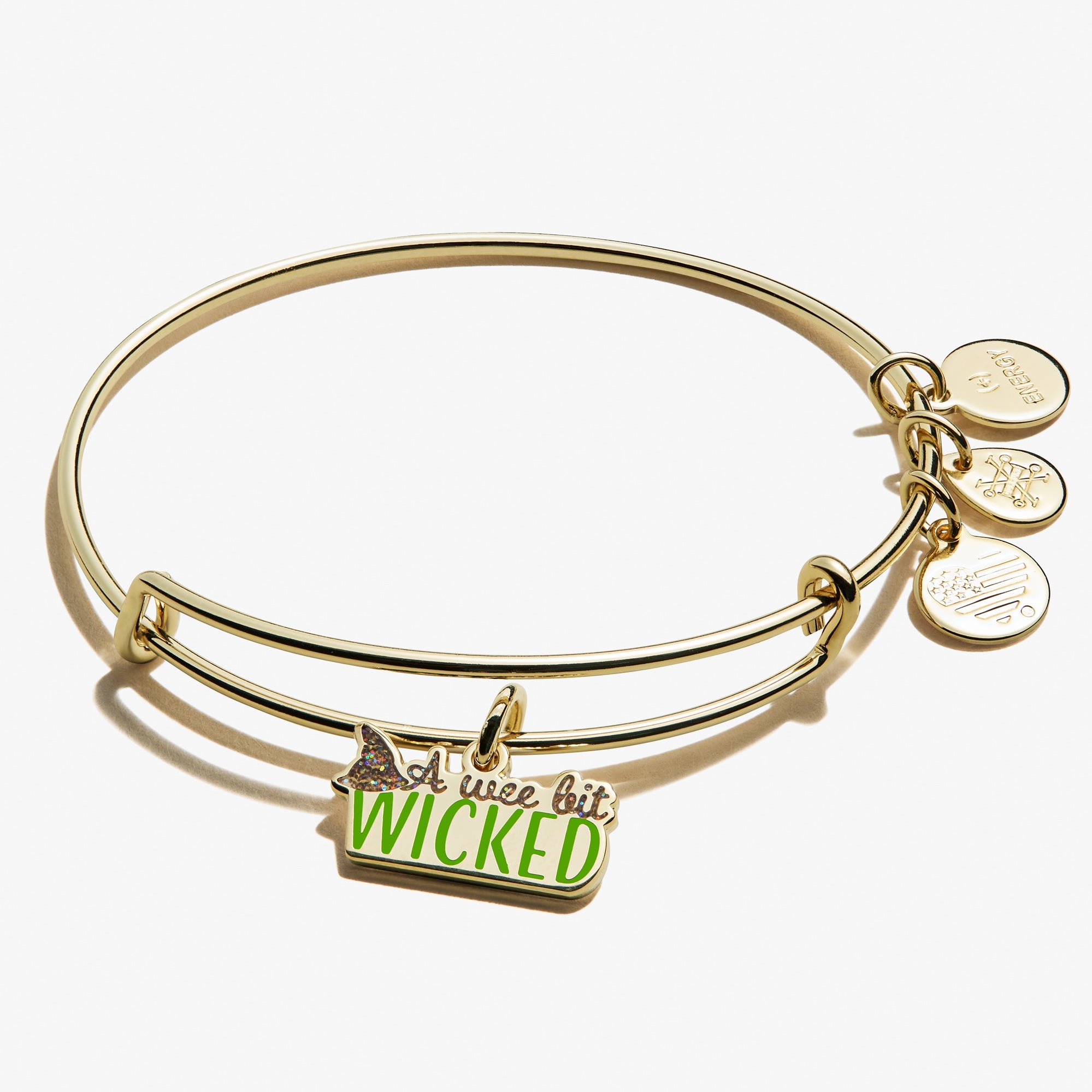 a-wee-bit-wicked-charm-bangle-bracelet-front-A21EBWBWSG.jpg