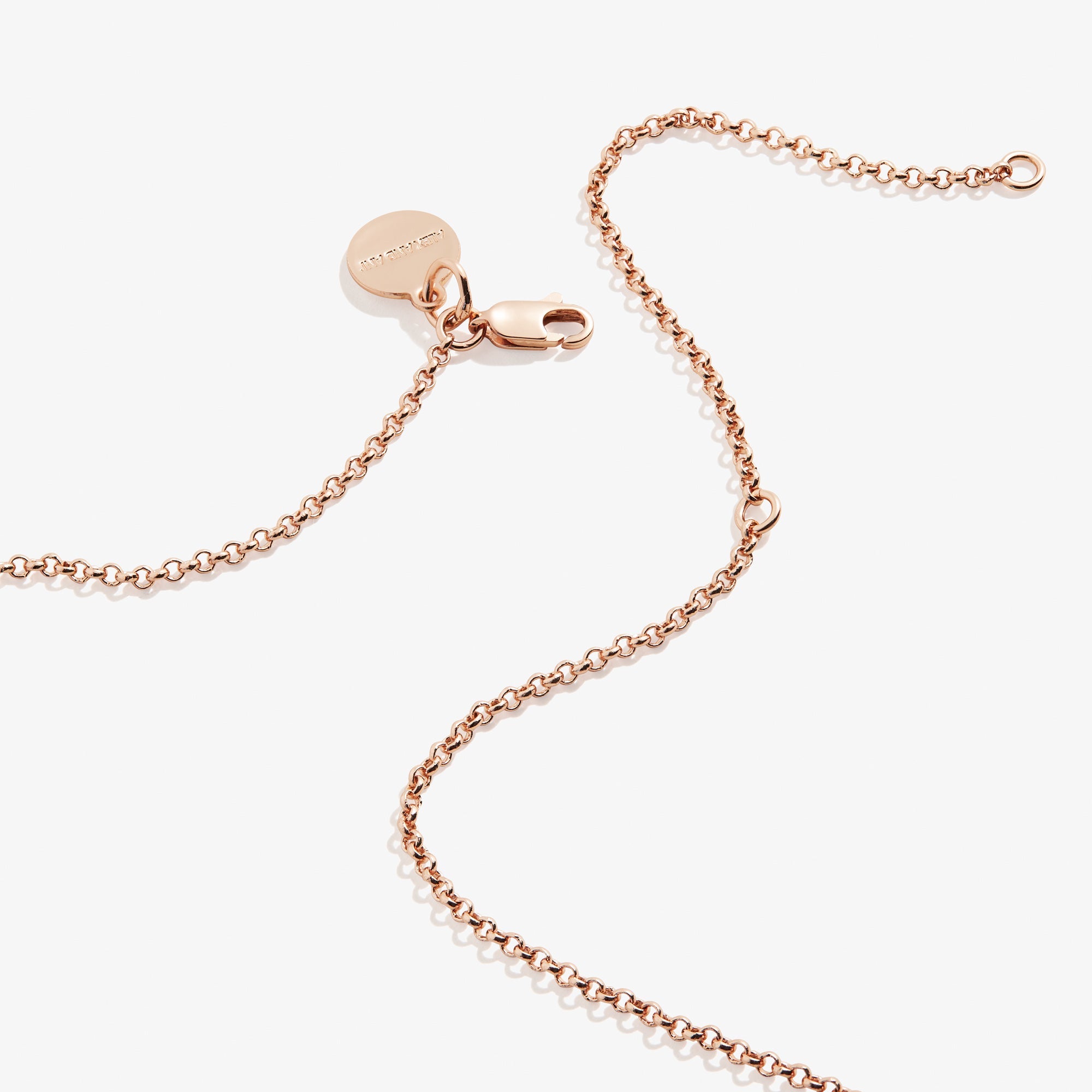 Path of Life Duo Charm Necklace, Adjustable